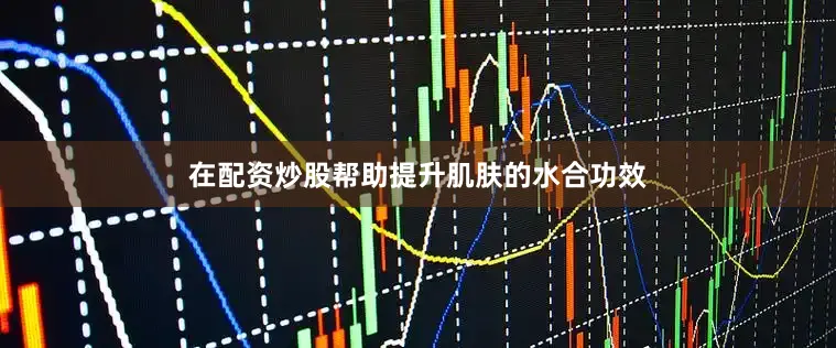 在配资炒股帮助提升肌肤的水合功效
